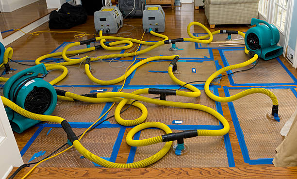 Professional Crawl Space Water Removal technician working in Francis Creek, WI